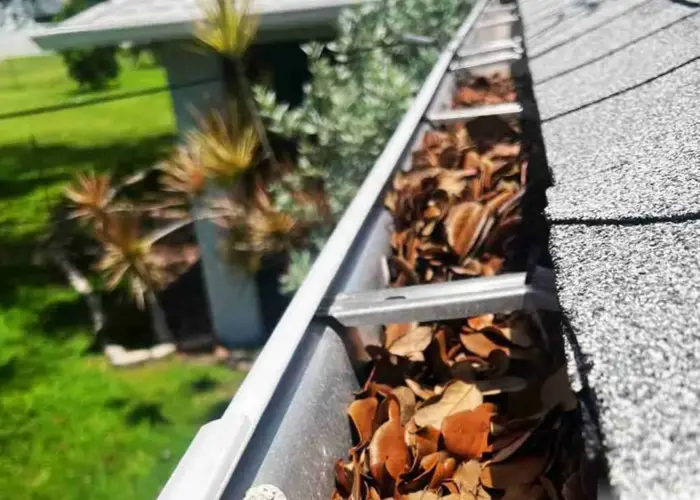 Gutter Cleaning Bexley home page
